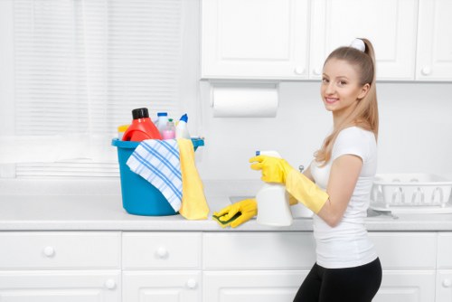 Dust and allergen removal during mattress cleaning in West Brompton