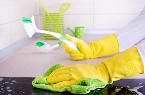Professional deep cleaning equipment for pet stain odour removal