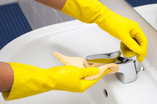 Fresh, clean interior after pet stain odour removal service